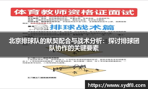 北京排球队的默契配合与战术分析：探讨排球团队协作的关键要素