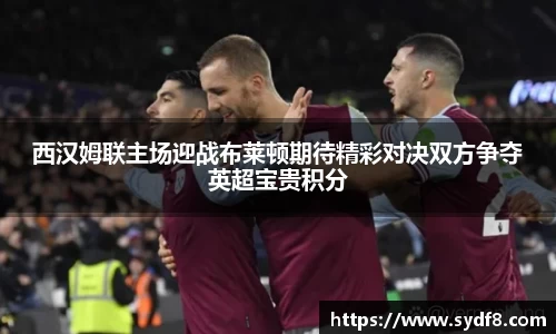 西汉姆联主场迎战布莱顿期待精彩对决双方争夺英超宝贵积分